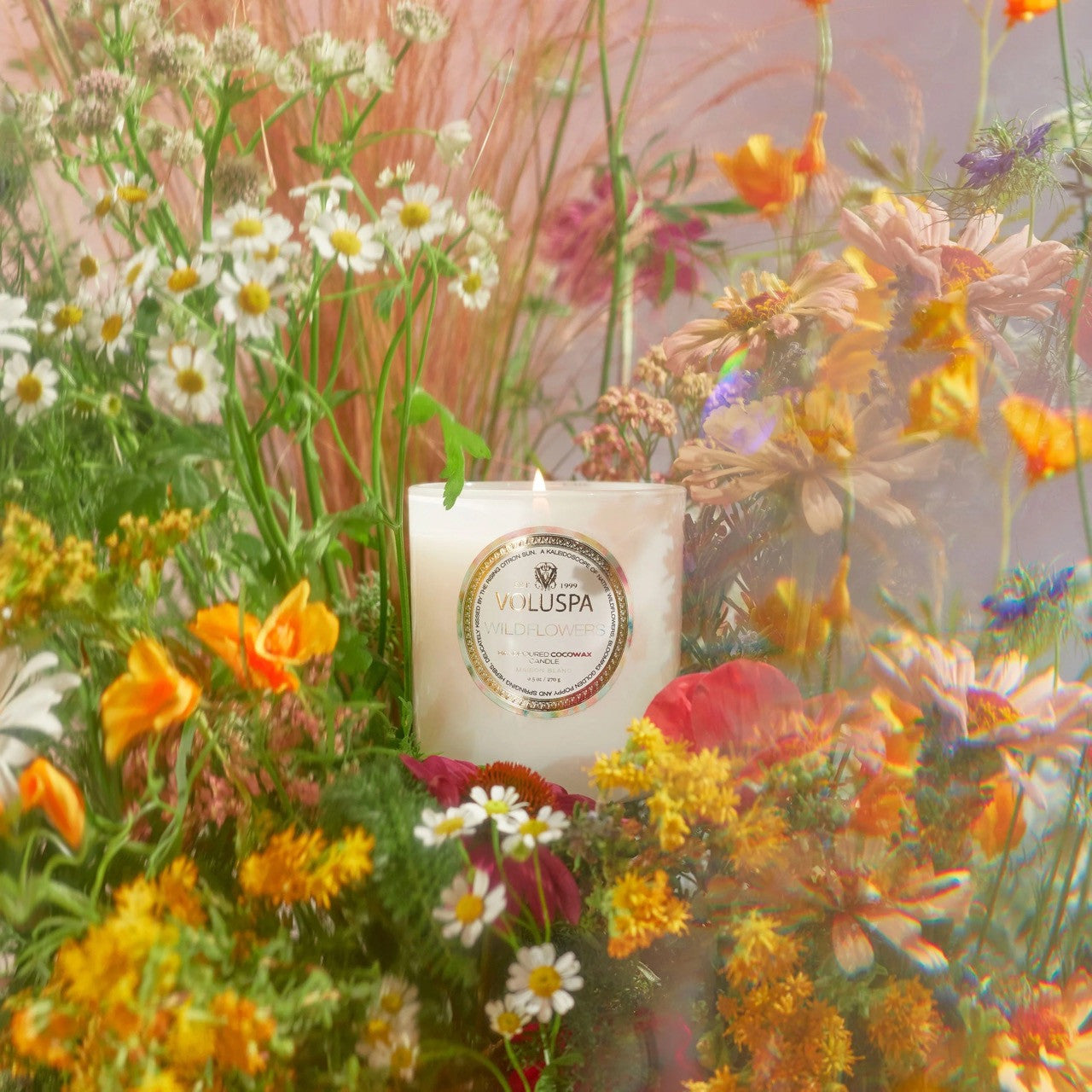 Voluspa - Wildflowers - Classic Candle