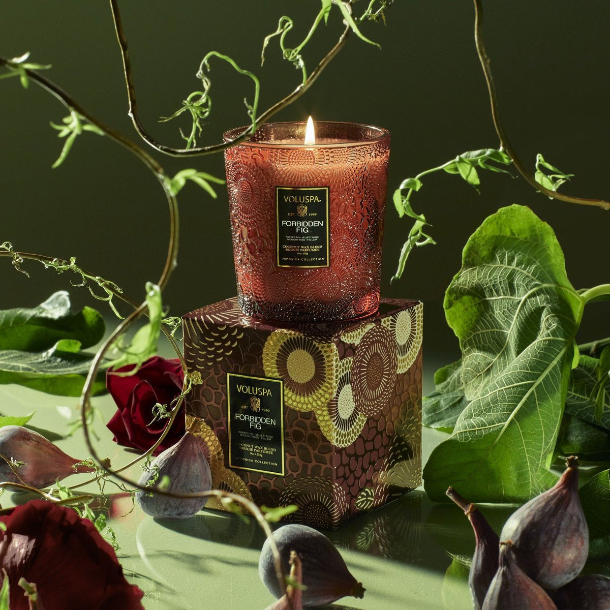 Voluspa-Forbidden-Fig-Geurkaars-Classic-Candle-4