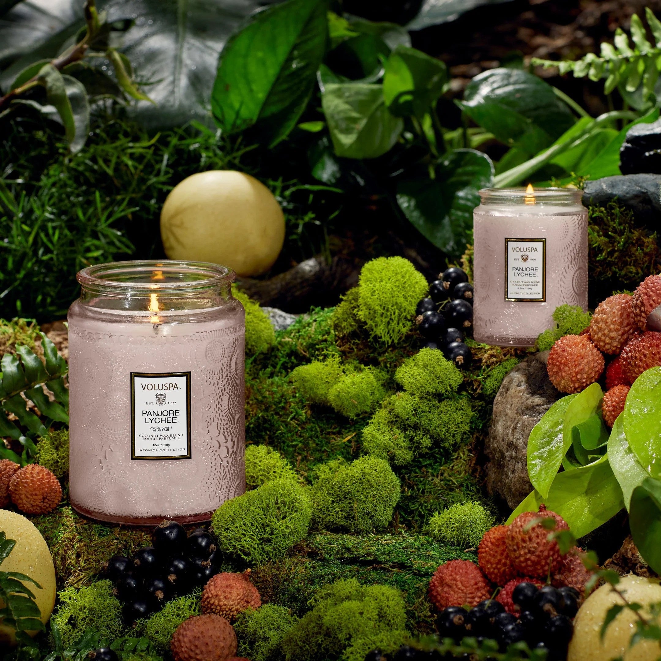 Voluspa - Panjore Lychee - Small Jar