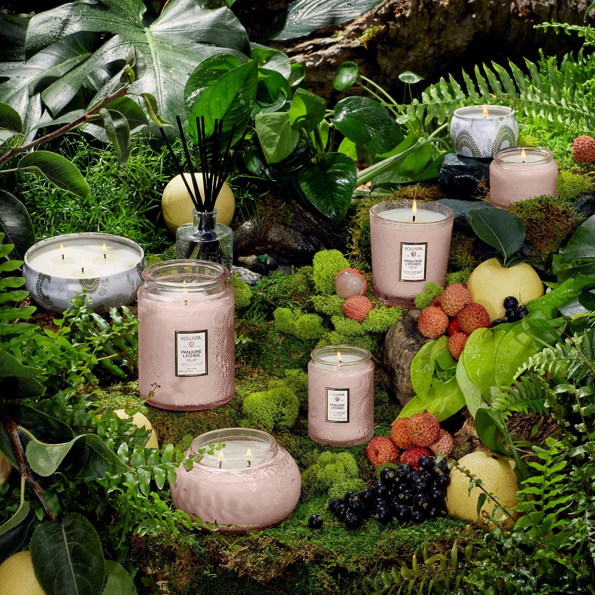 Voluspa - Panjore Lychee - Large Jar